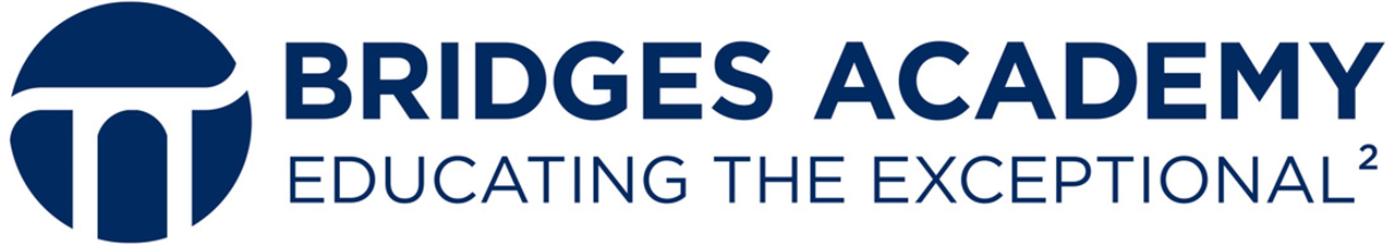 Bridges Academy logo