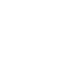San Domenico School logo
